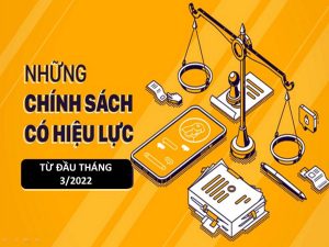 c%E1%BA%A5u h%C3%ACnh thu%E1%BA%BF 1