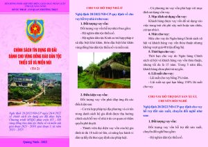 Ch%C3%ADnh s%C3%A1ch t%C3%ADn d%E1%BB%A5ng %C6%B0u %C4%91%C3%A3i v%C3%B9ng d%C3%A2n t%E1%BB%99c t%E1%BB%9D 2.m%E1%BA%B7t trc