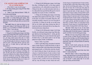 T%E1%BB%9C 1 TRANG 2 ANM