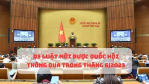 03 Lu%E1%BA%ADt m%E1%BB%9Bi %C4%91%C6%B0%E1%BB%A3c Qu%E1%BB%91c h%E1%BB%99i th%C3%B4ng qua trong th%C3%A1ng 62023