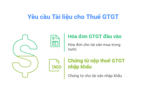 To chuc cho thue tai chinh cho thue tai san thuoc doi tuong chiu thue gia tri gia tang phai co visual selection 9