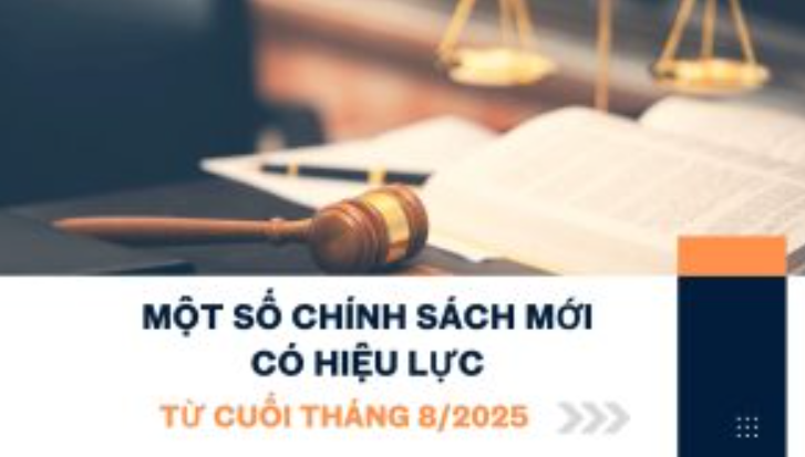hlcthang81