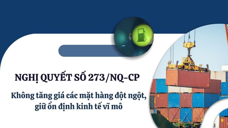 Nghi quyet so 273NQ CP