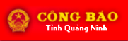 bncongbao