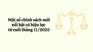 Balance at the Heart of Justice