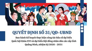 Ban hanh Ke hoach thuc hien cong tac bau cu dai bieu Quoc hoi khoa XVI va dai bieu Hoi dong nhan dan cac cap tinh Quang Ninh nhiem ky 2026 2031