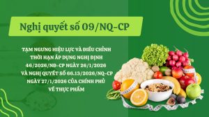Nghi quyet so 09ND CP