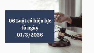 06 Luat co hieu luc tu ngay 0132026